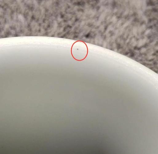 陶瓷碗釉面微小孔隙食物残渣附着示意图