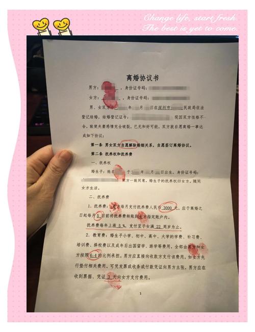 那纸协议，到底写了啥？