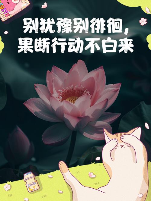犹豫期别光纠结，该做这几件事