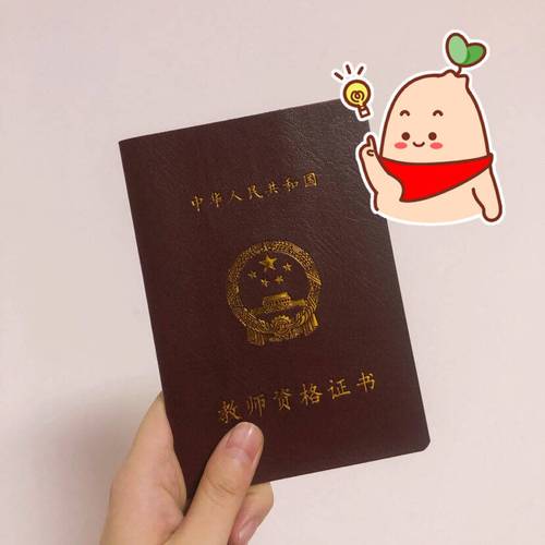 非师范生备考教师资格证教材堆成小山