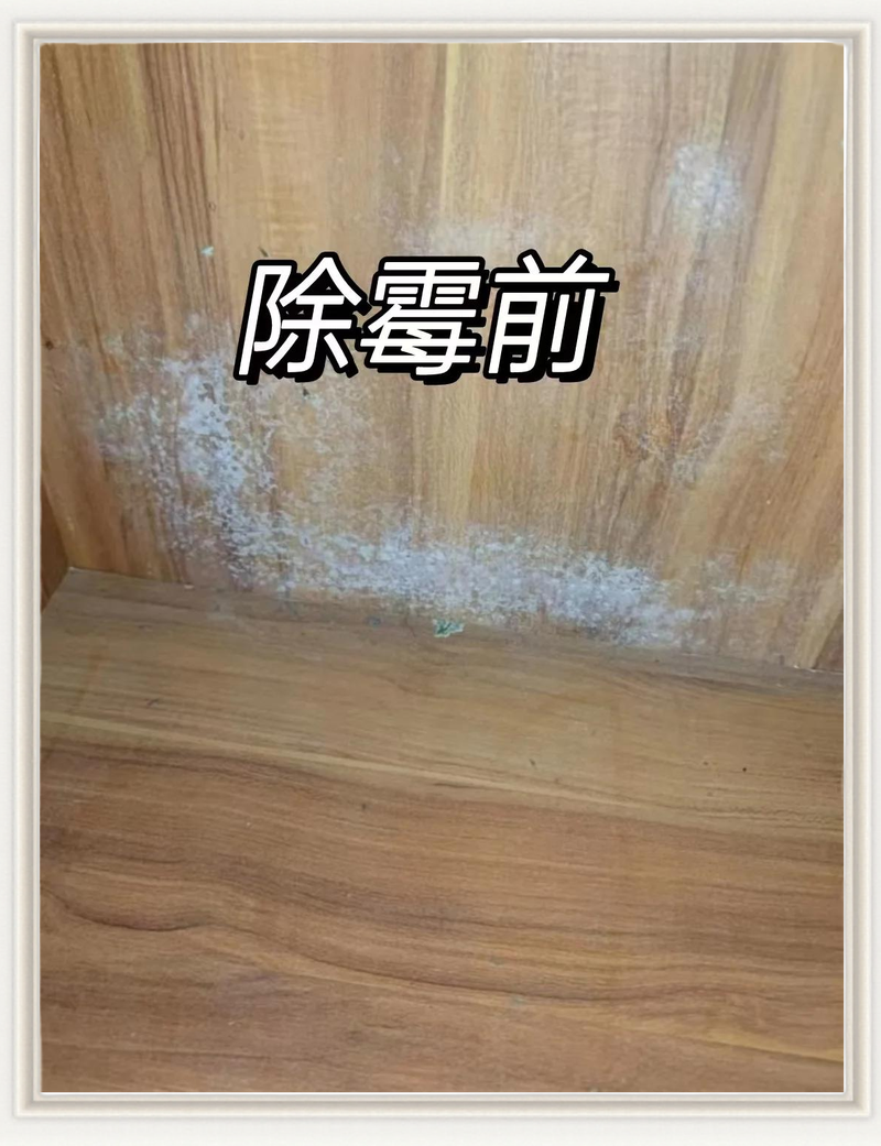 梅雨潮湿天气发霉的衣柜衣物