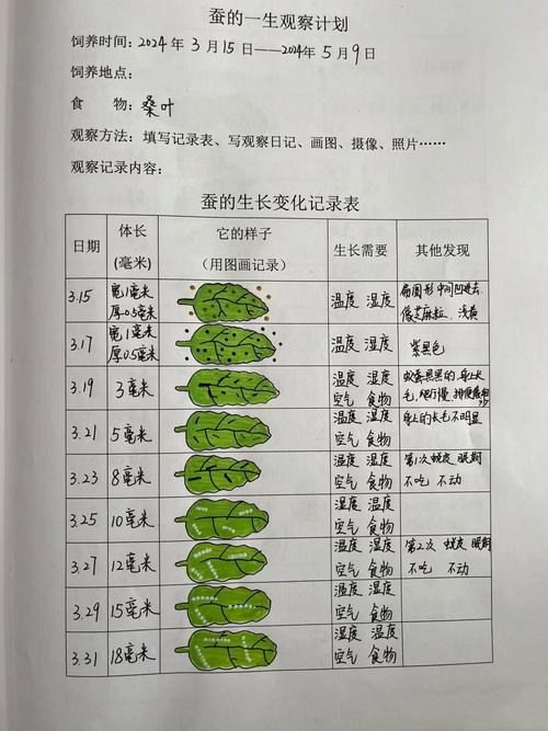 观察生物，最后看见的是我们自己的生活