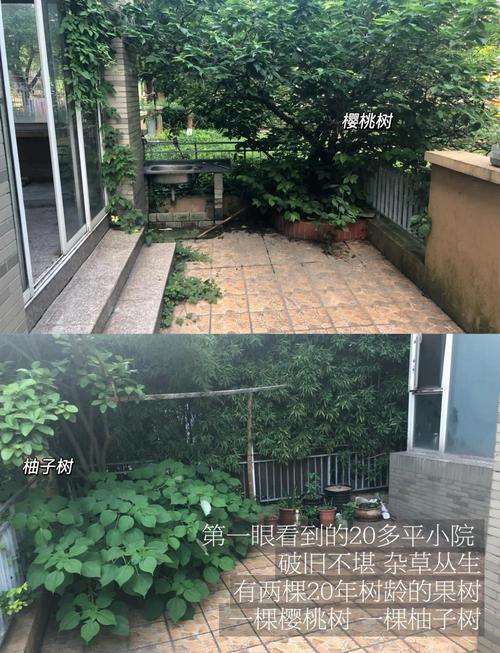 尺寸选不对,小院秒变杂物堆