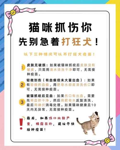 真被猫抓了，该怎么处理才对?