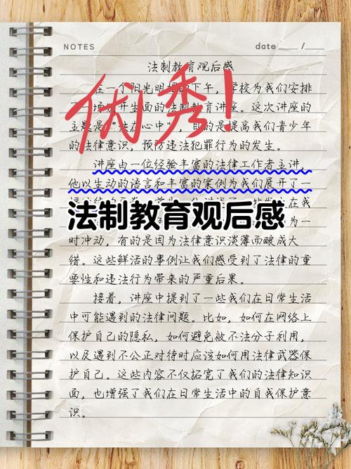 法律后果与司法实践