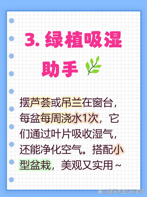 除湿物品也会“变潮”,这点别忘