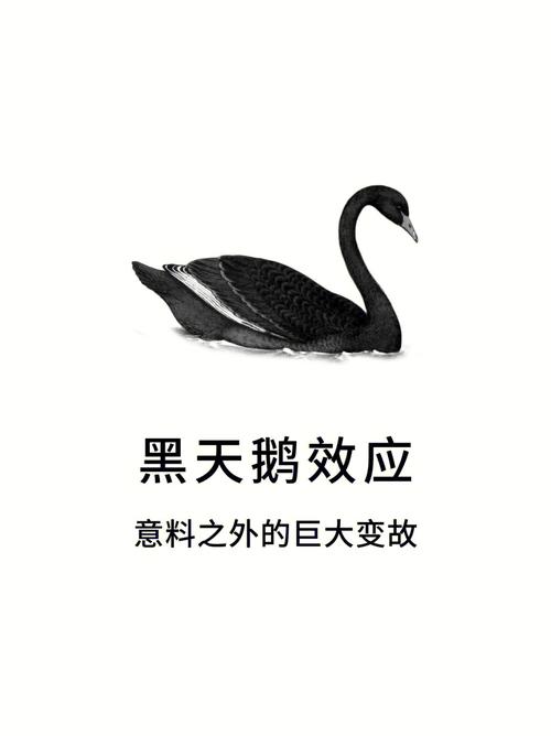 风险:藏在阳光里的黑天鹅