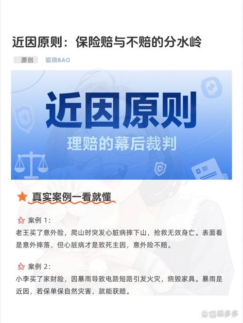 判赔与不判赔的核心差异