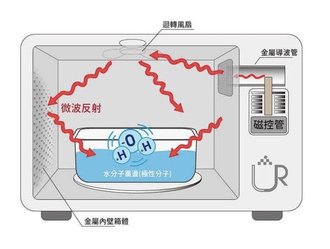微波炉内部水分子震动加热原理示意图