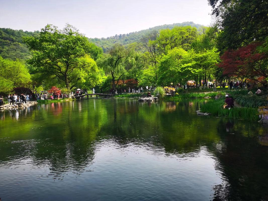 湖北南漳花庄水库环湖公路春季风景