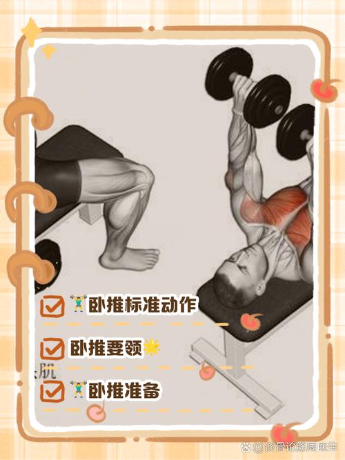 健身房卧推动作发力点对比示意图