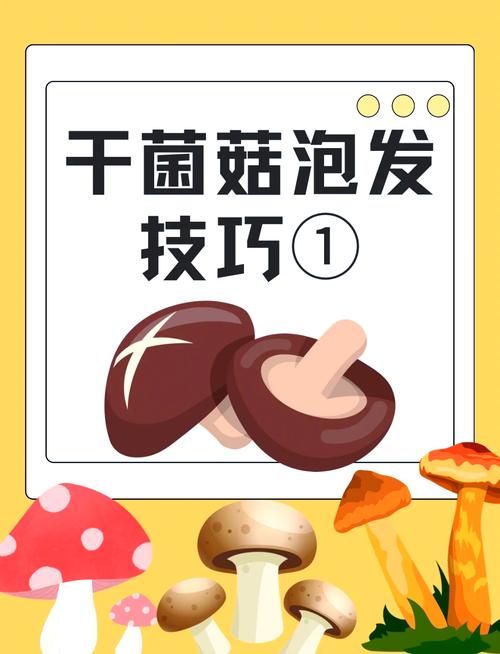 干香菇干木耳正确泡发步骤图