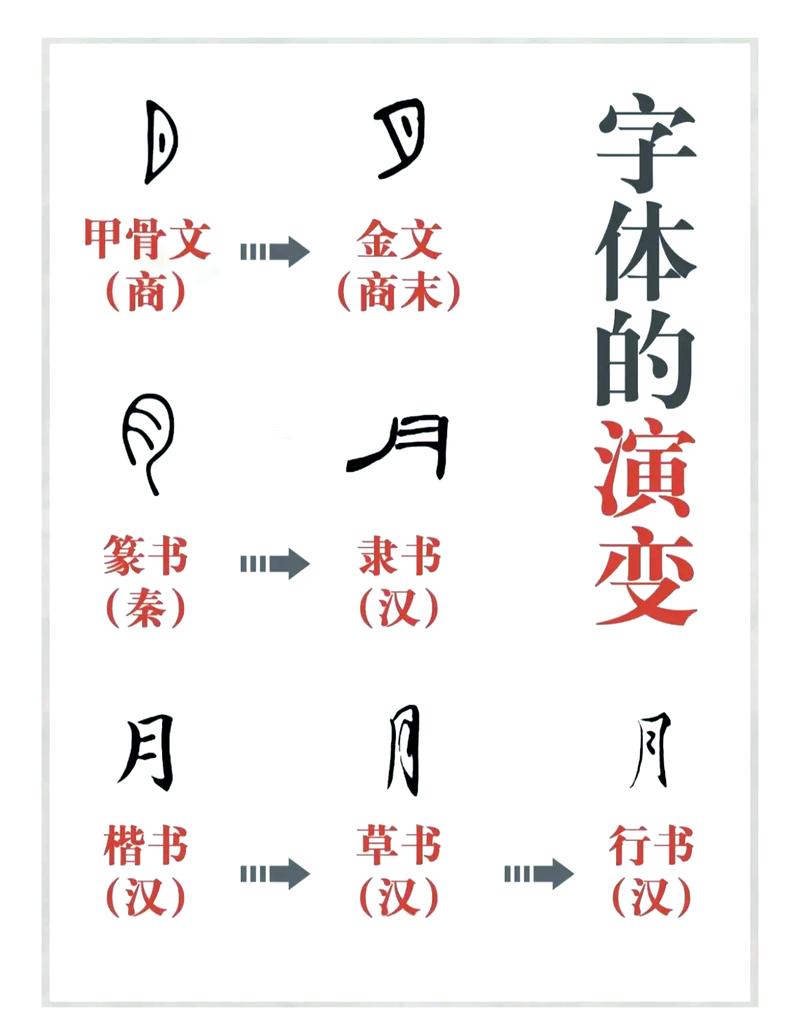 书法练习不同字体演变图谱