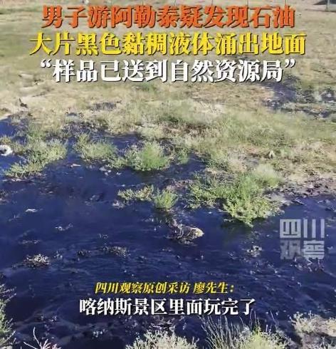 实地跑过这几家，有些意外发现