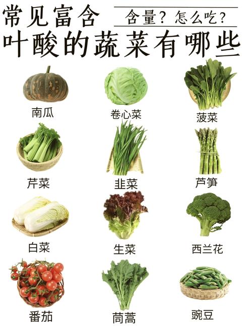 富含天然叶酸的新鲜绿叶蔬菜合集