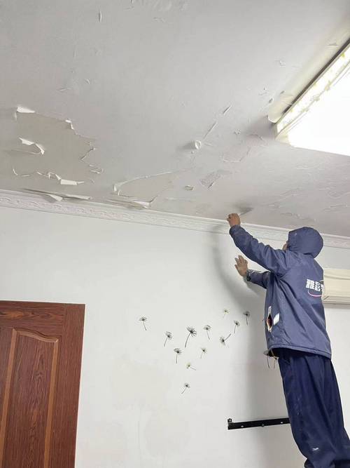 铲除墙面霉斑重新涂刷抗霉腻子施工图