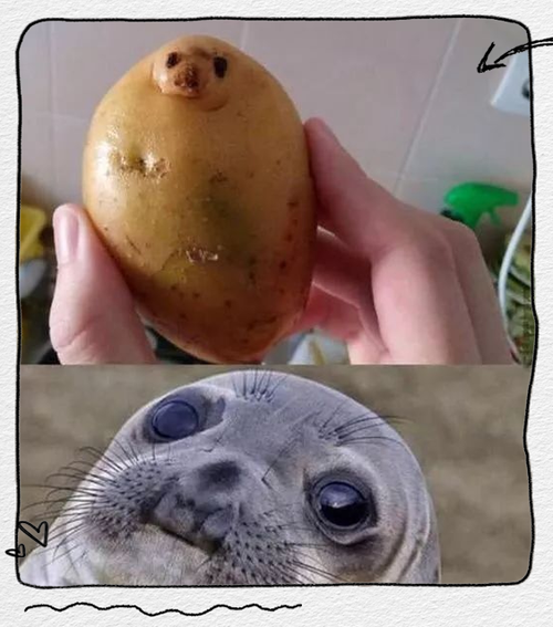 那些意想不到的组合