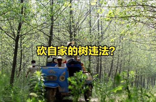 先砍无用资源:大部分站点的通病