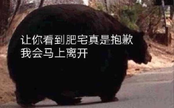 真要帮它，别上来就抱得死死的