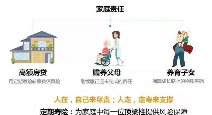 三口之家家庭支柱经济责任示意图