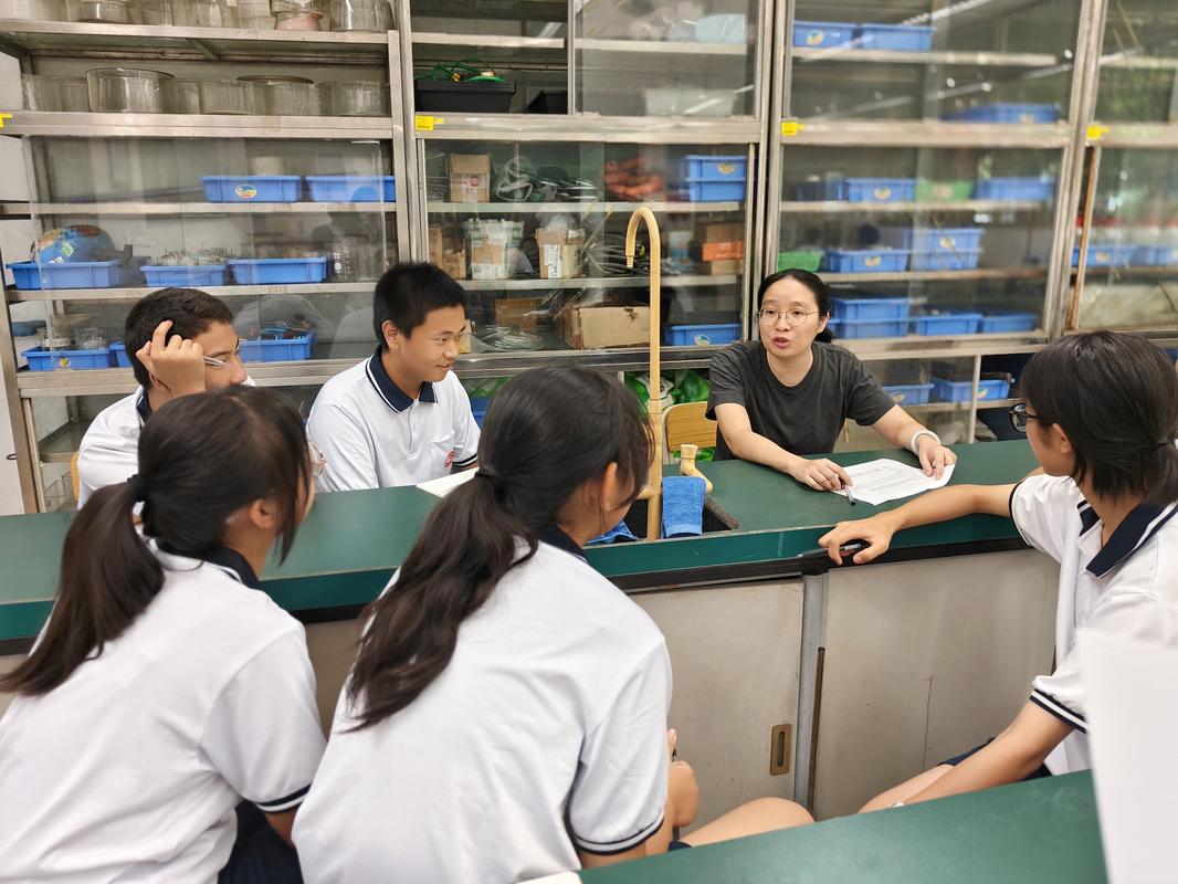 高中生使用学术助理进行研究性学习