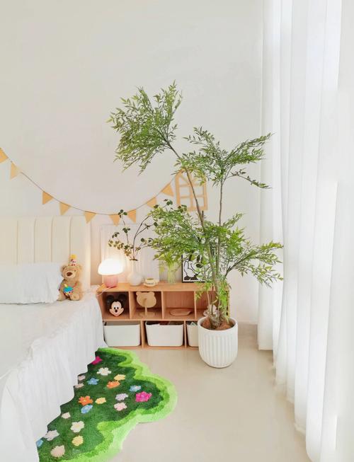 儿童房摆放大量绿植通风除甲醛实景
