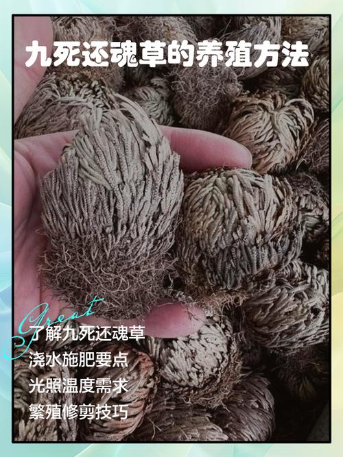 🌿 健康与长久:最容易被坑的两个灵魂拷问