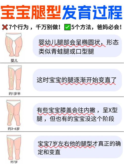 0-2岁宝宝生理性腿型变化示意图
