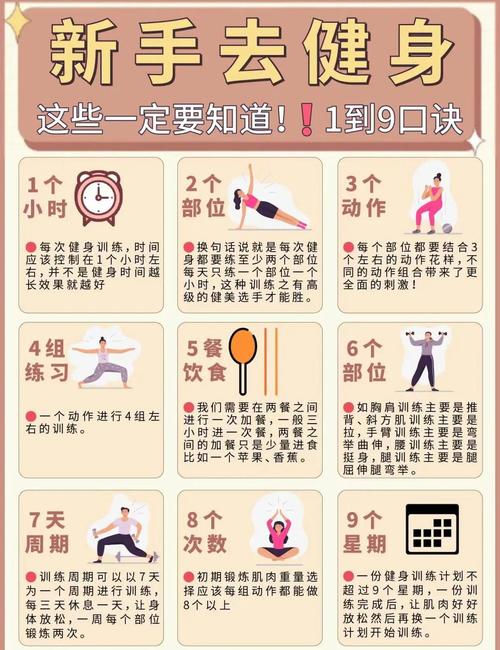 入门之后可以怎么慢慢进阶