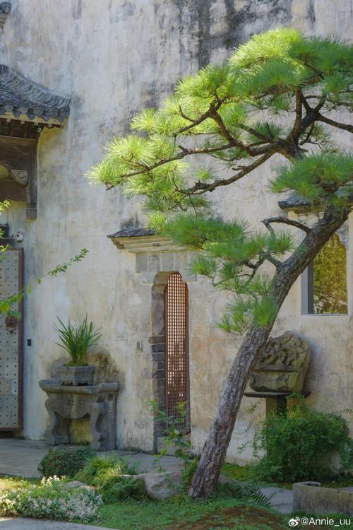 嘉兴桐乡水乡民宿老天井芭蕉景