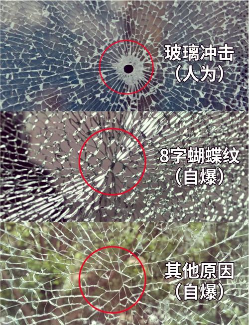 钢化玻璃自爆后裂而不散的蜘蛛网纹细节图
