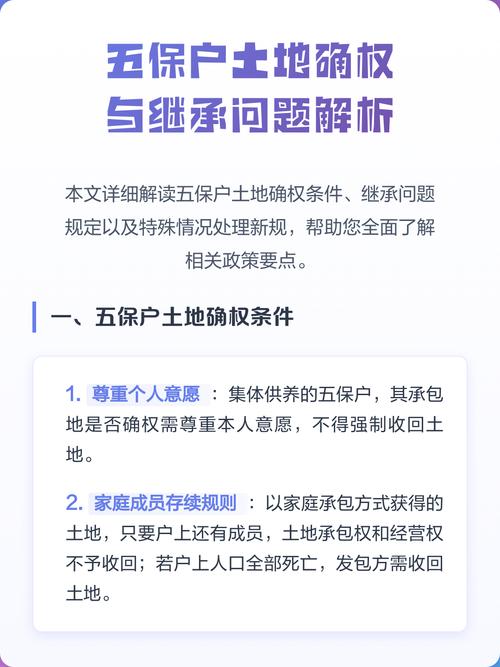 特殊继承问题的实操解答