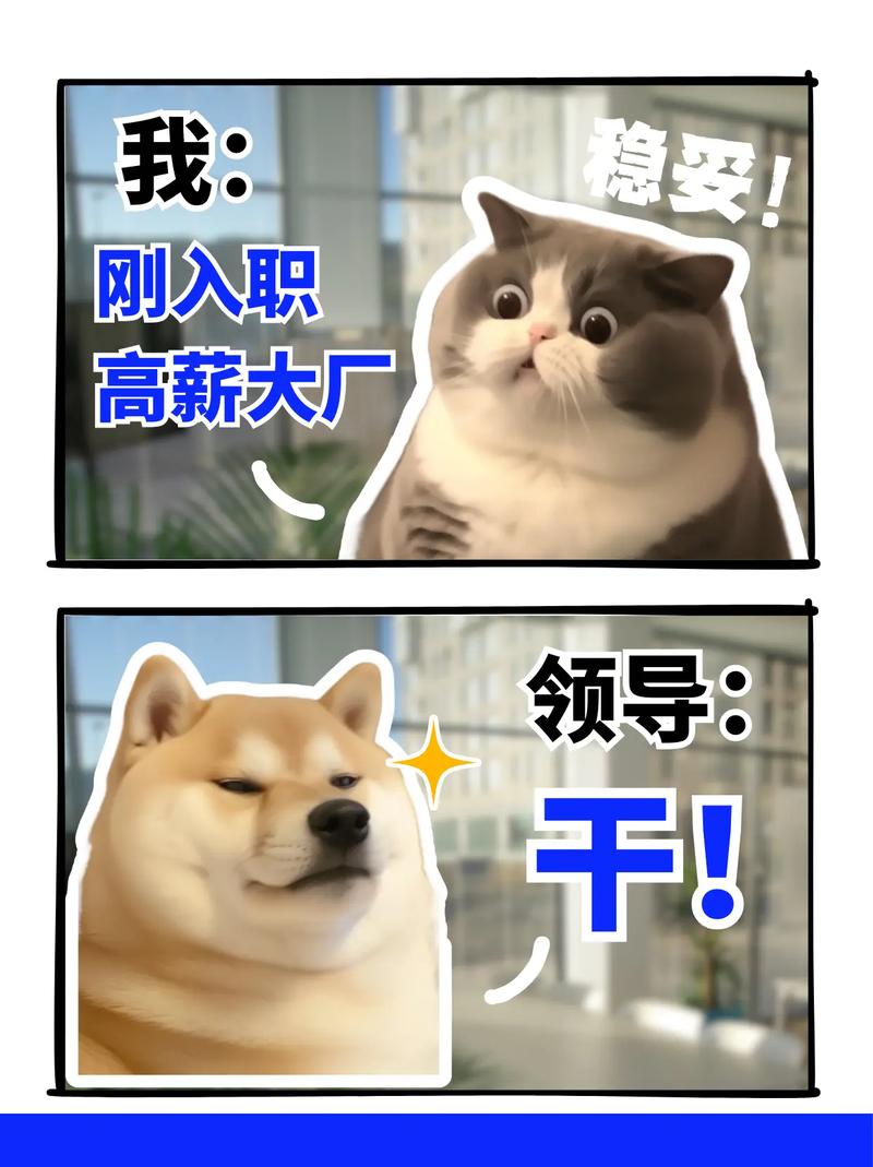 大厂就一定稳？呵呵，可能你想多了