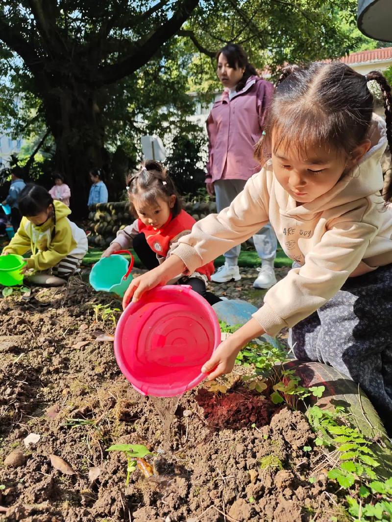 学校劳动周种植园孩子浇水观察幼苗