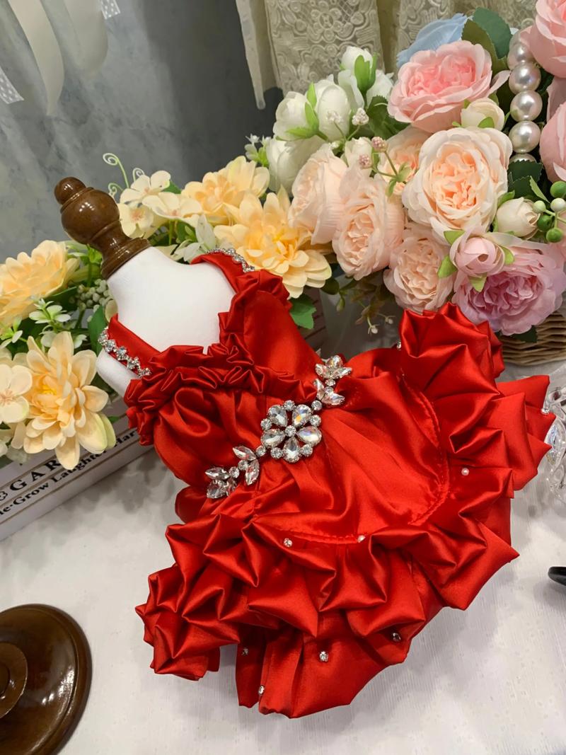 主人正在用旧婚纱DIY宠物婚礼服装