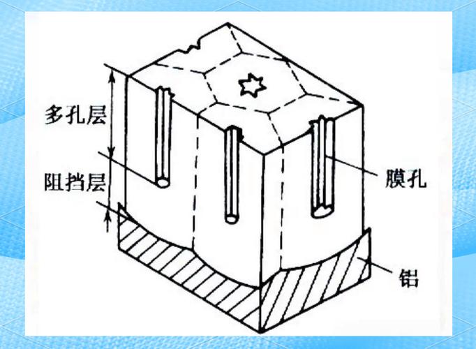 铝合金阳极氧化膜截面微观图