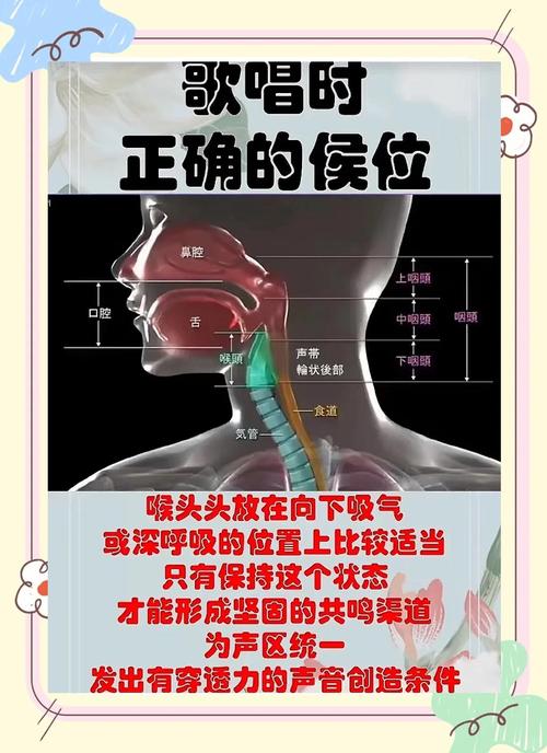 正确唱歌站姿喉结位置示意图