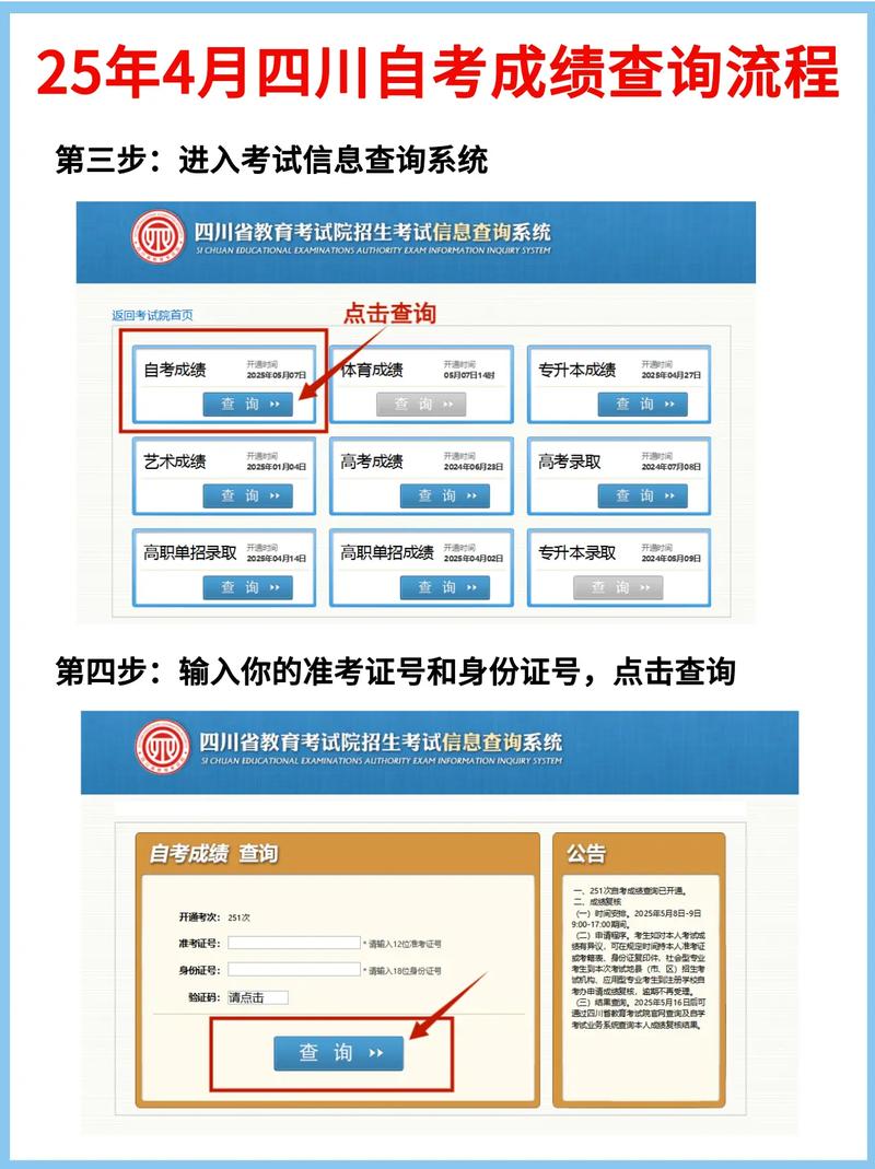 自考本科省教育考试院开考专业查询页面