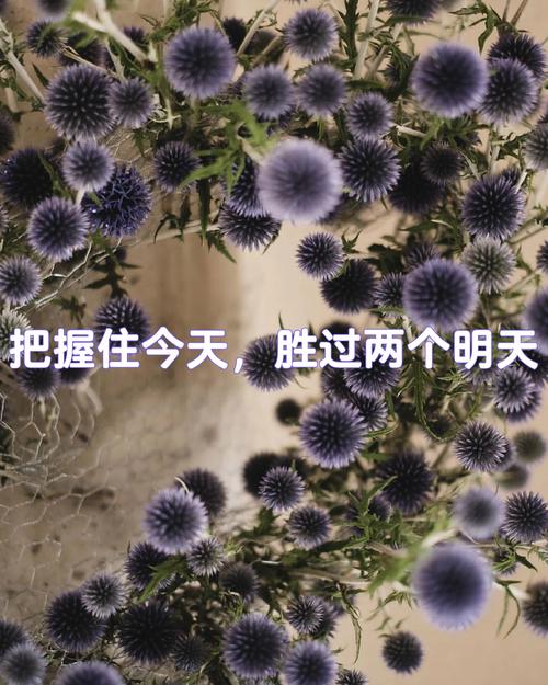 给你说两个明天就能用上的实在话
