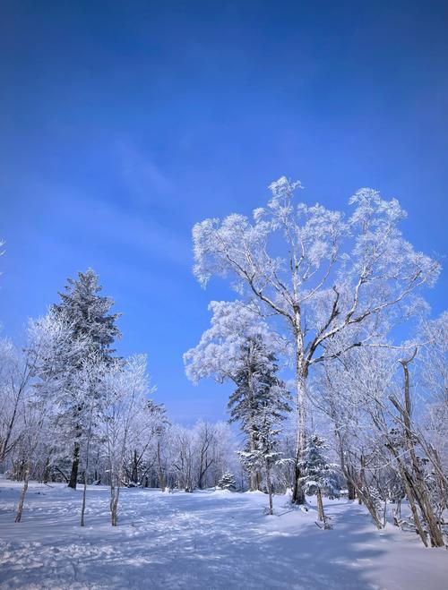 吉林北大壶滑雪场林间雪道雾凇美景
