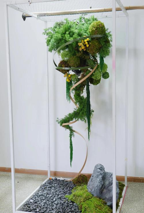 小户型垂直花艺软装搭配 壁挂花瓶与藤蔓植物