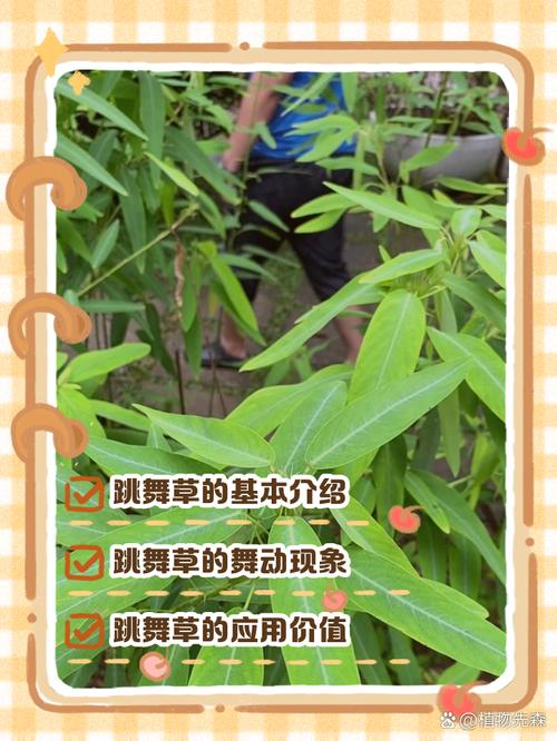 培养舞感的野路子方法（亲测有效）
