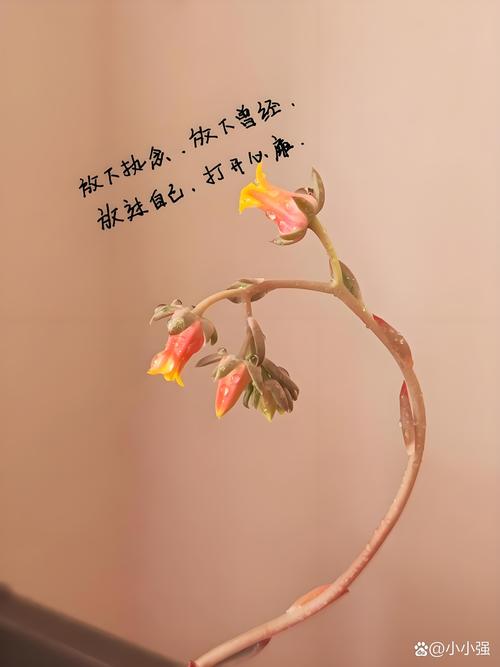 没人看的时候,别着急改方向,先把“端着”的架子放下来