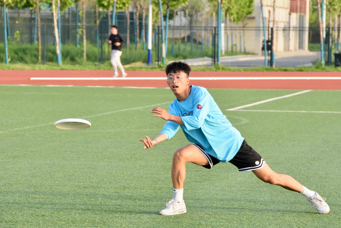 退潮之后,飞盘剩下了什么