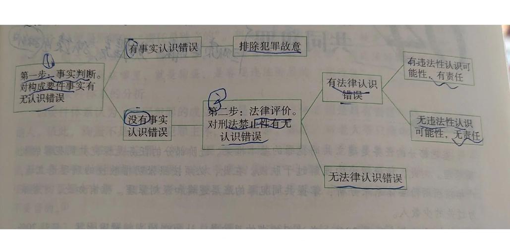 法律适用错误与事实认定错误区分示意图