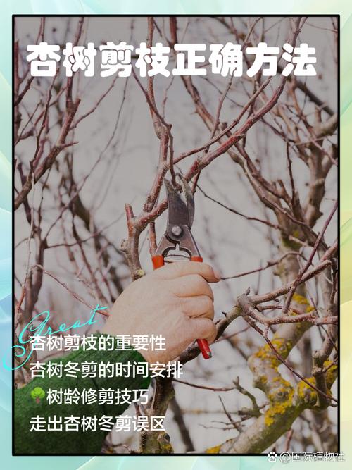 剪枯叶剪出来的生活道理