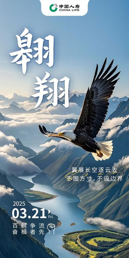 飞行的自由，从来都有边界