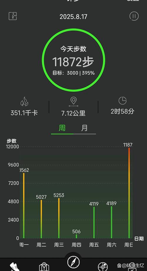 智能手表步行数据统计界面