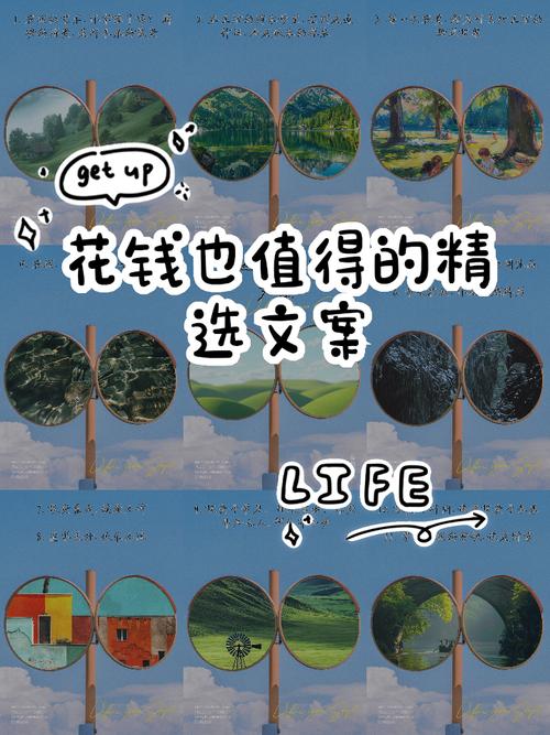 新手怎么选，什么情况值得花钱？
