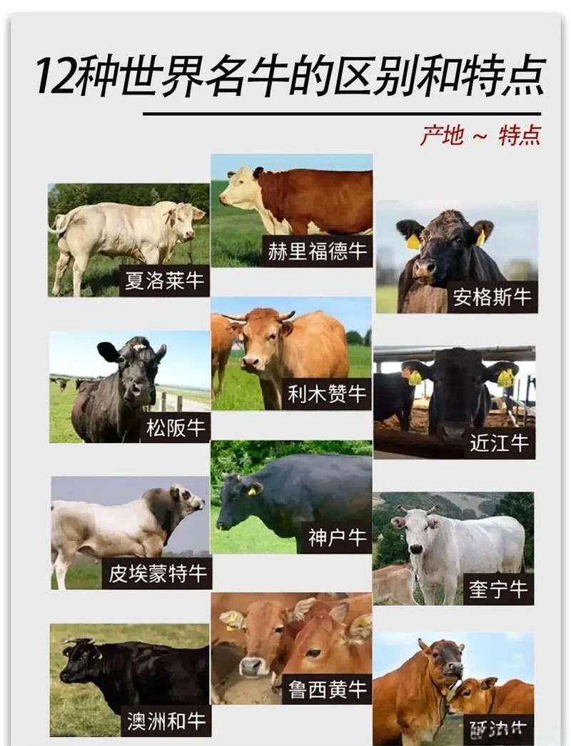 SMED到底牛在哪？